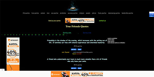 Screenshot of Website 1